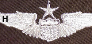 U.S. Wings