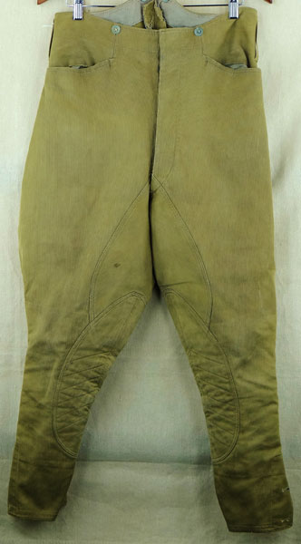 SA Riding Breeches for Brown Shirt