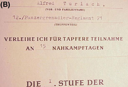 12. / Panzer Gren. Regt 71 (mot) Document Group to "Feldwebel Alfred Turlach"
