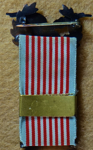 Spanish American War Veterans Medal