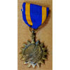 Vietnam Period Cloth U.S. Air Force "Aircrew Member" Wing