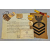 Vietnam Period "Sterling" U.S. Air Force "Chief Flight Surgeon" Wing