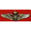 Vietnam Period Cloth U.S. Army "Senior Aircraft Crew Member" Wing