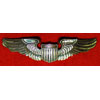 Vietnam Period "Combat Medical Badge"