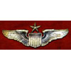 U.S. Army Current Issue "Expert Fields Medical Badge"