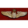 U.S. Military Current Issue "Explosive Ordnance Disposal (Basic) Badge"
