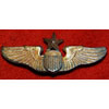 U.S. Military Current Issue "Explosive Ordnance Disposal (Senior) Badge"