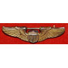 U.S. Military Current Issue "Explosive Ordance Disposal (Master) Badge"