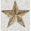 WW I Pattern Brigadier General Rank Star