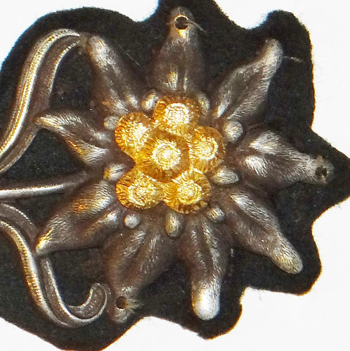 Army Edelweiss with Dark Green Backing