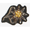 Army Edelweiss with Dark Green Backing