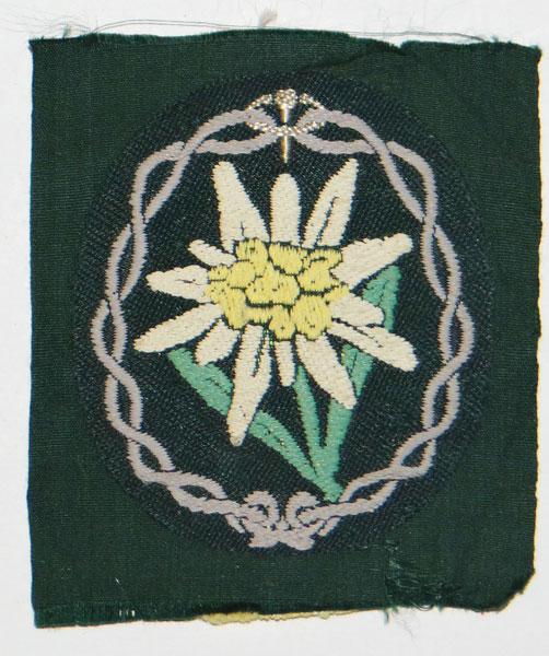 Army Mountain Troop Sleeve Edelweiss