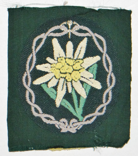 Army Mountain Troop Sleeve Edelweiss