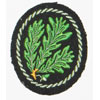 Army Jager Troops Sleeve Insignia