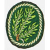 Army Jager Troops Sleeve Insignia