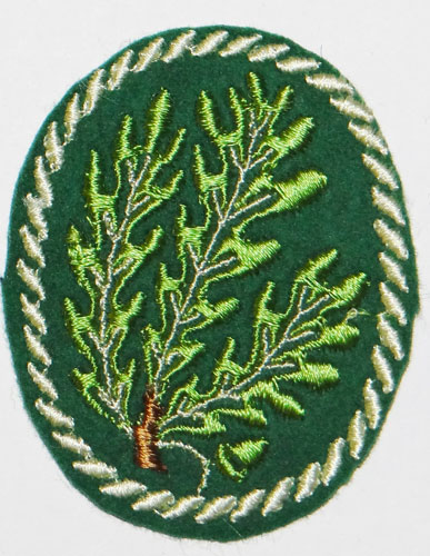 Army Jager Troops Sleeve Insignia
