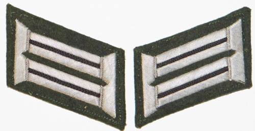 Army Pioniere Officer Collar Tabs