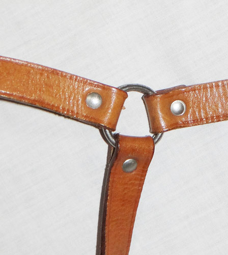 Political Leader Light Duty "Y" Straps