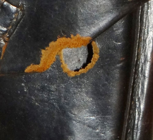 WW II German Luger Holster with Clip & Take Down Tool