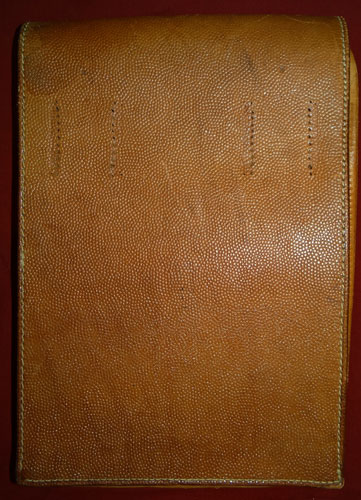 Luftwaffe Marked M35 Map Case