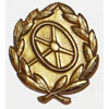 Bronze Driver Badge of Merit
