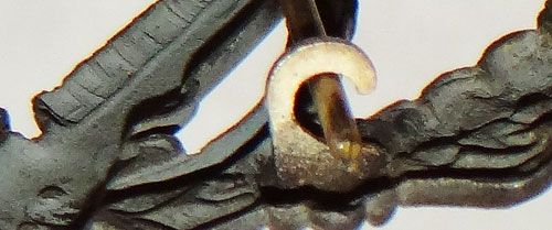 Unmarked SILVER Infantry Assault Badge