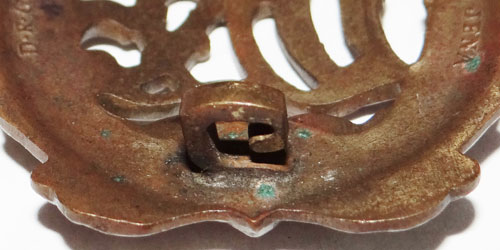 Bronze DRL Sport Badge