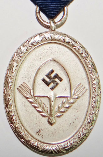 RAD Men’s 12 Year Long Service Medal