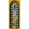 German Customs Official Shoulder Board