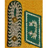 German Customs Official Collar Tab & Shoulder Board Set