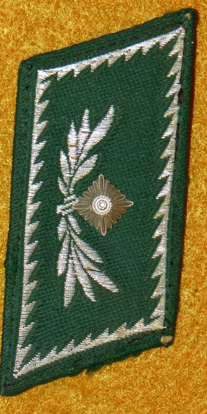 German Customs Official Collar Tabs