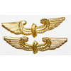 Reichsbahn Gold Metal Collar Tab Insignia