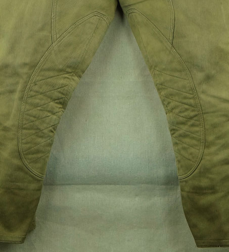 SA Riding Breeches for Brown Shirt