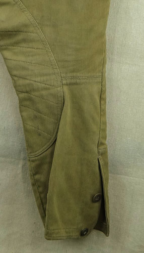 SA Riding Breeches for Brown Shirt
