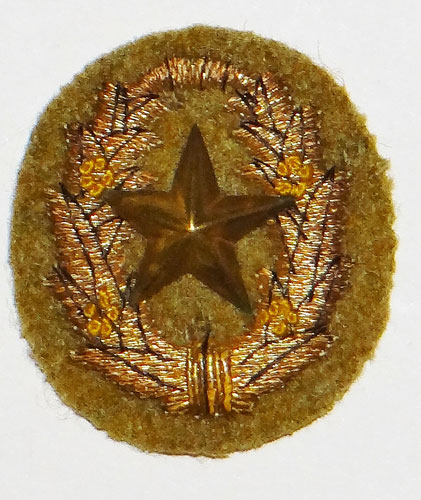 Japanese Army Military Academy Insignia