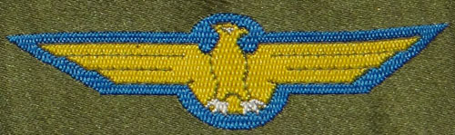 Japanese Army Aviation Wings