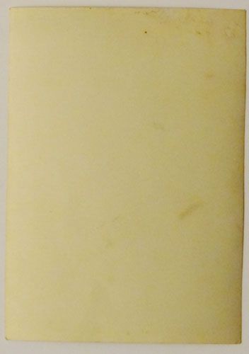 Japanese Army Officer Photo