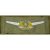 WW Japanese Army Pilot Wings