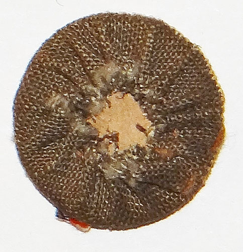 Cloth Cockade for Luftwaffe M43 & Fliergermutze Caps