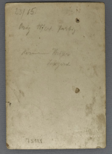 Luftwaffe Unteroffizier Photo