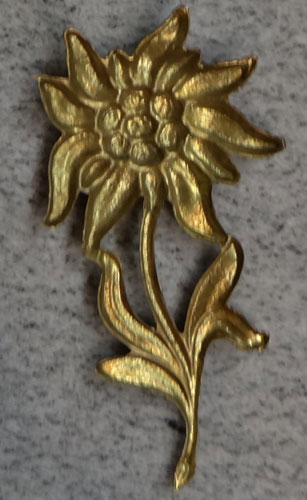 SA/NSKK Metal Cap Edelweiss