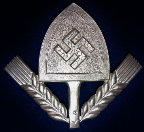 RAD Metal Insignia
