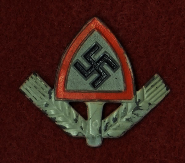 RAD Metal Cap Insignia