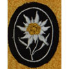 WSS Mountain Troops Sleeve Edelweiss
