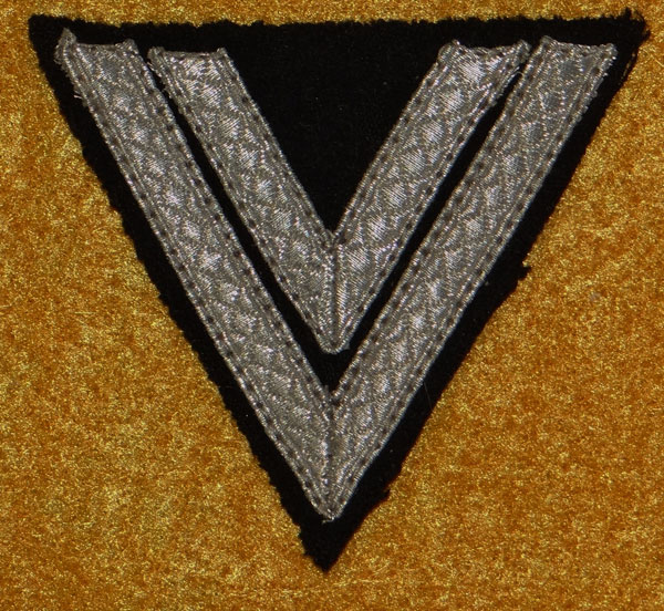 WSS-Rottenfuhrer Sleeve Rank