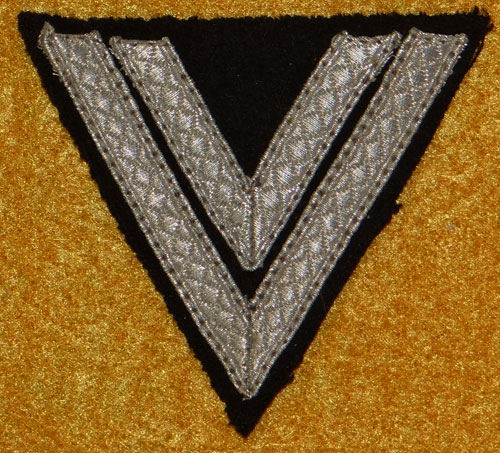WSS-Rottenfuhrer Sleeve Rank