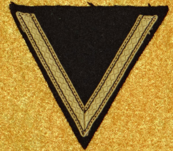 WSS Tropical  Sturmmann Sleeve Rank