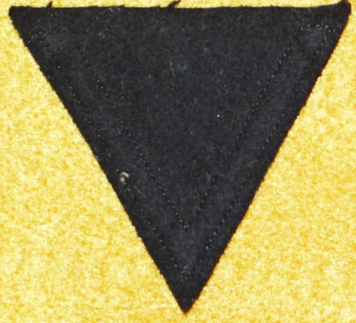 WSS Tropical  Sturmmann Sleeve Rank