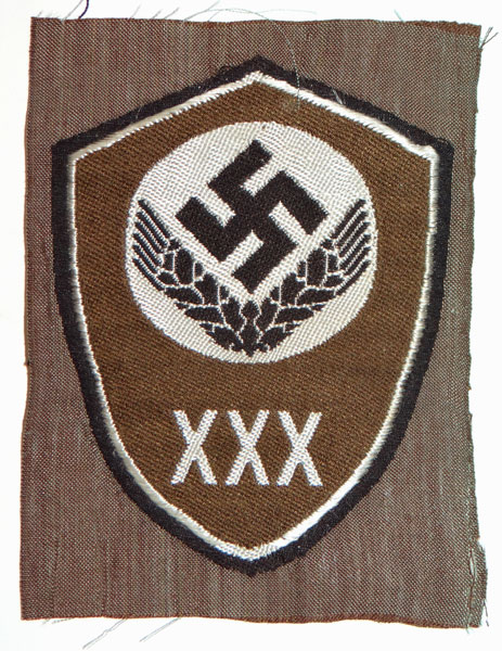 RADwj Unit Sleeve Badge for "BezriK 30" RADwj Unit Sleeve Badge for "BezriK 30"