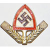 RAD NCO/EM Hat Insignia
